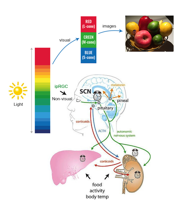 永信贵宾会-欢迎您