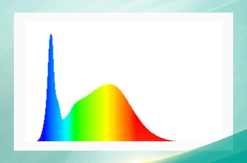 永信贵宾会-欢迎您
