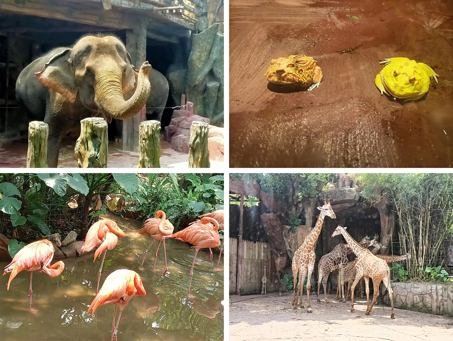 永信贵宾会-欢迎您