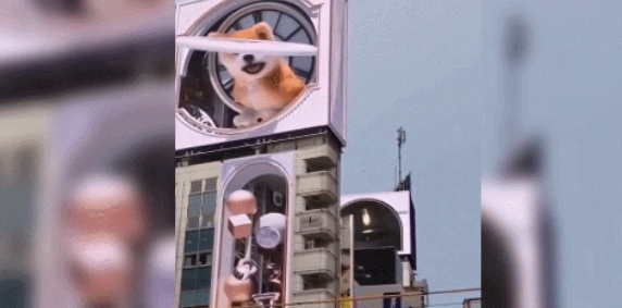 永信贵宾会-欢迎您