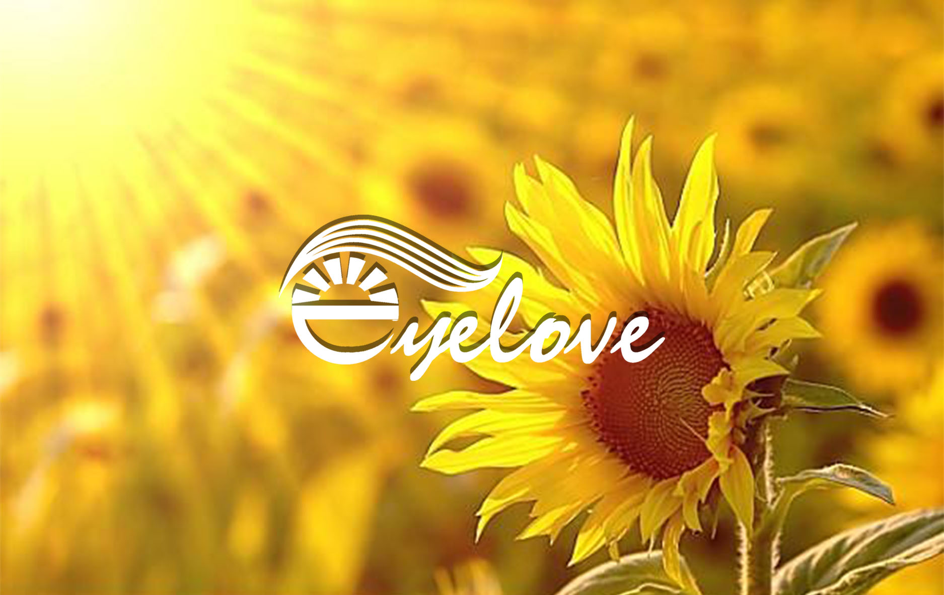 永信贵宾会-欢迎您