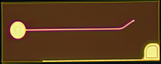 永信贵宾会-欢迎您